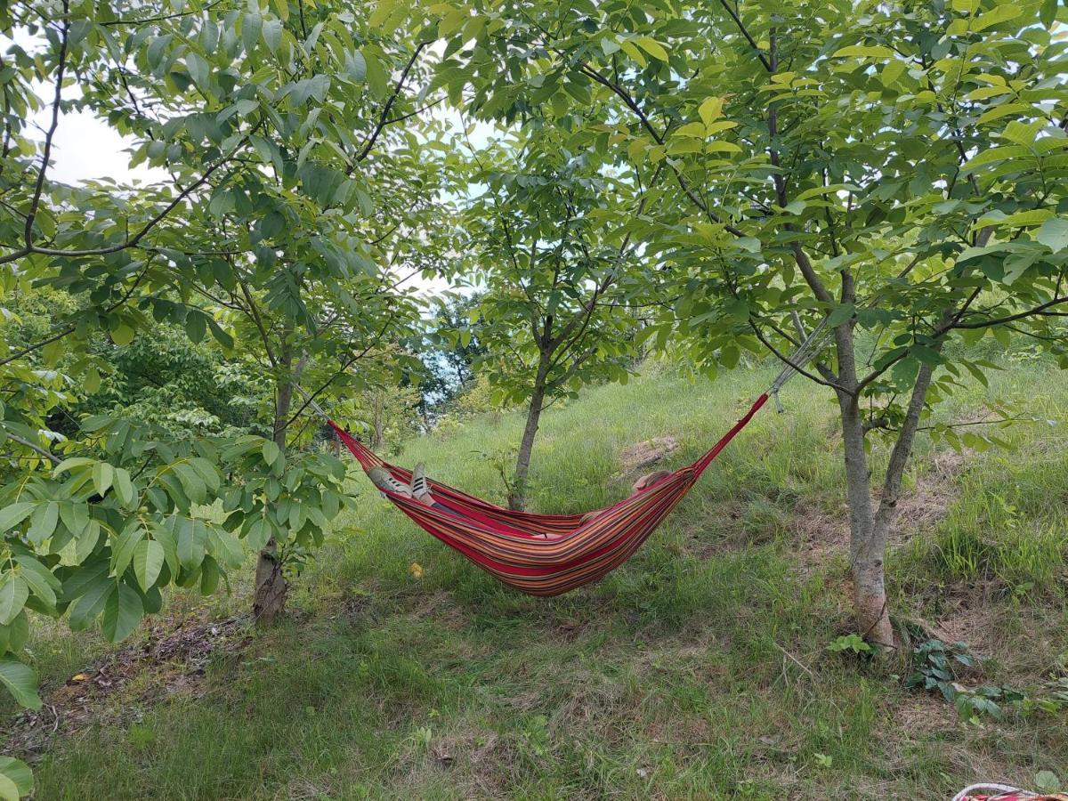 Apartma Vali Appartement Gradisca Buitenkant foto